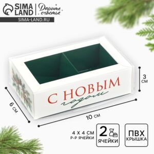 Коробка под 2 конфеты с ячейками «Новогодняя ботаника», 10×6×3 см