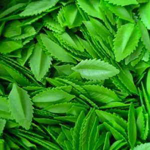 Лист розы вафельный зелёный (38 мм), 20 шт.